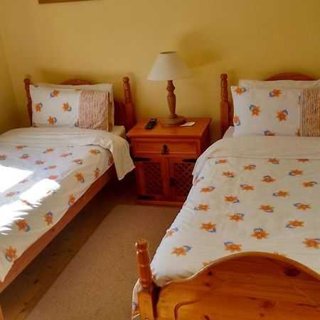 Grannagh Castle House Bed and Breakfast Waterford Buitenkant foto