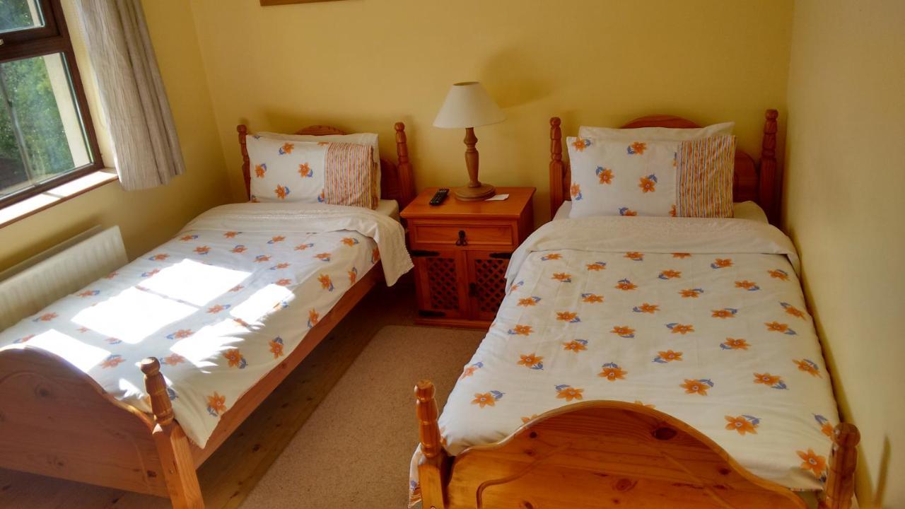 Grannagh Castle House Bed and Breakfast Waterford Buitenkant foto