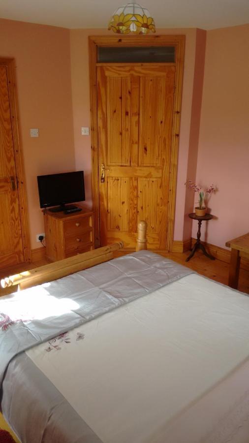 Grannagh Castle House Bed and Breakfast Waterford Buitenkant foto