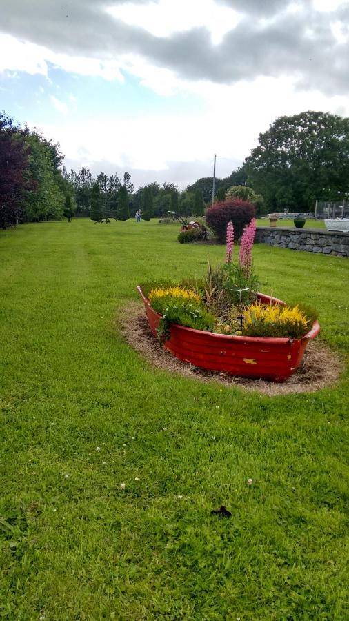 Grannagh Castle House Bed and Breakfast Waterford Buitenkant foto