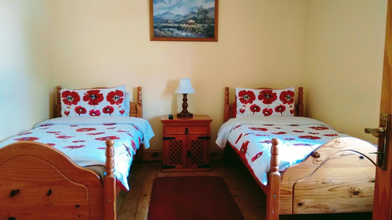 Grannagh Castle House Bed and Breakfast Waterford Buitenkant foto