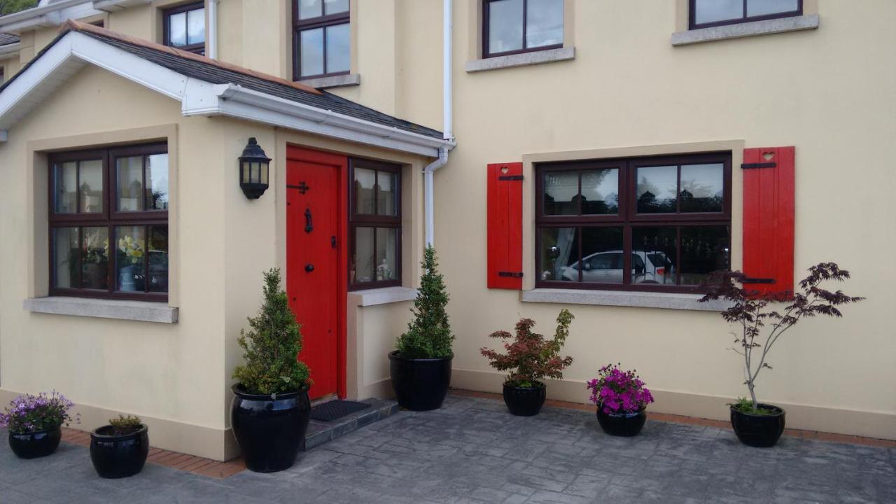 Grannagh Castle House Bed and Breakfast Waterford Buitenkant foto