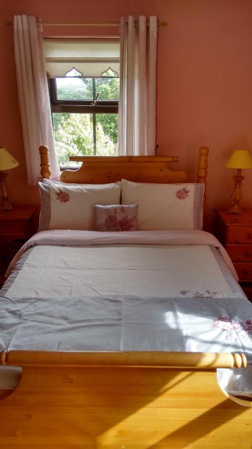 Grannagh Castle House Bed and Breakfast Waterford Buitenkant foto