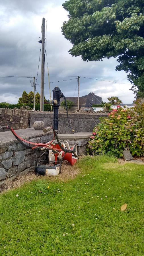 Grannagh Castle House Bed and Breakfast Waterford Buitenkant foto