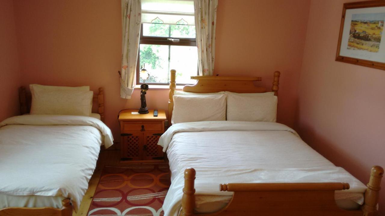 Grannagh Castle House Bed and Breakfast Waterford Buitenkant foto